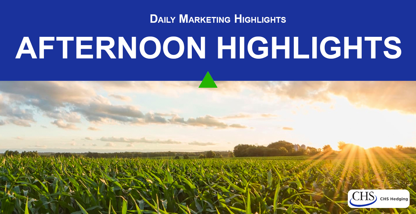 K24 Net Report: March 29 Frost, Aegean Storms & Wind Across Greece